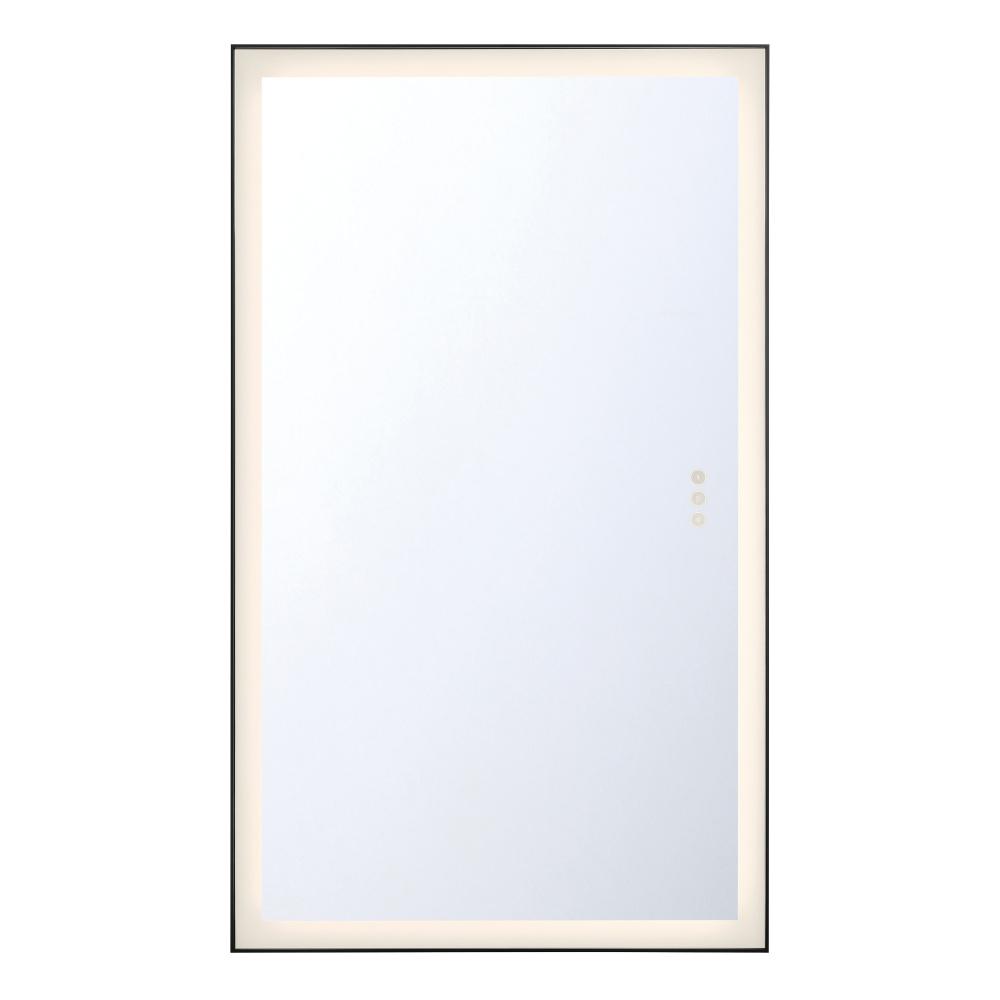 Lenora 54" Rectangular Mirror in Black