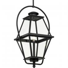 Progress P550138-031 - P550138-031 1-L HANG LANTERN