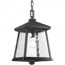 Progress P5559-31 - Mac Collection One-Light Hanging Lantern