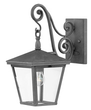 Hinkley Canada 1430DZ - Medium Wall Mount Lantern