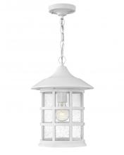 Hinkley Canada 1862TW - Medium Hanging Lantern