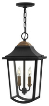 Hinkley Canada 1972BK - Medium Hanging Lantern