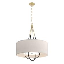 Hubbardton Forge - Canada 104230-SKT-86-10-SE2811 - Loop Pendant