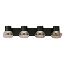 Eglo Canada 204454A - 4 LT Integrated LED Bath/Vanity light w/ Black Finish & Clear Glass Shades