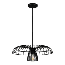 Eglo Canada 206263A - 1 LT Dual Mount Ceiling or Pendant Light w/ Black Finish & Black Metal Cage Shade