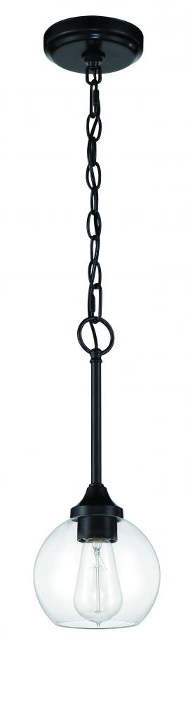 1 Light Mini Pendant